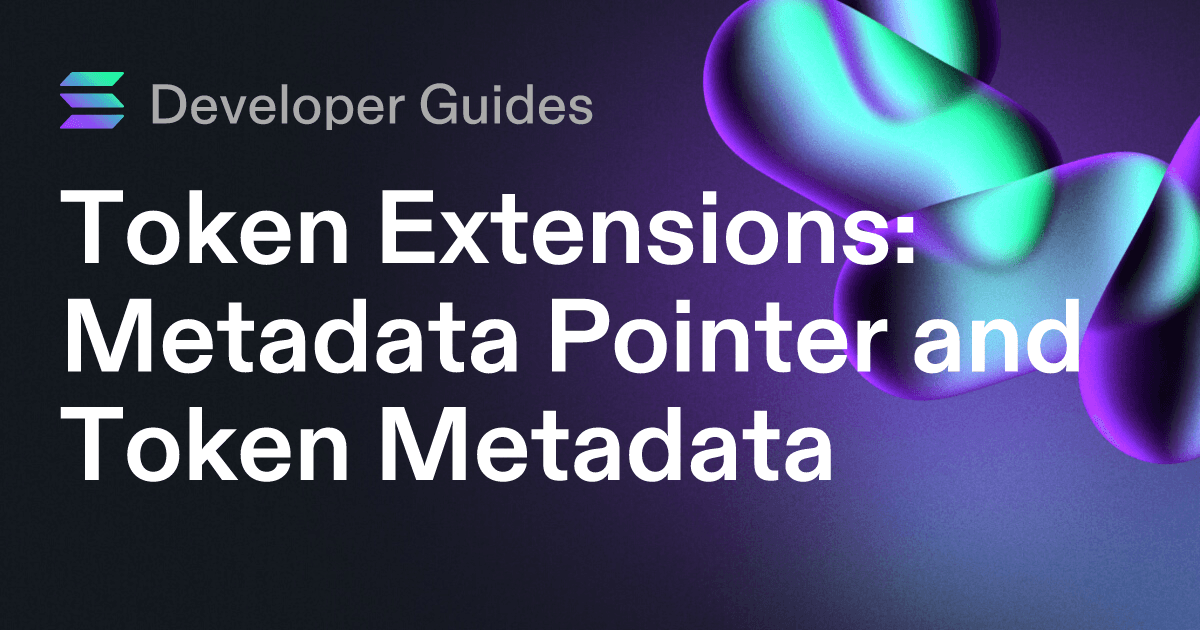 How to use the Metadata Pointer extension